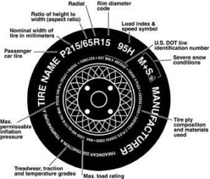 tire-radial-image