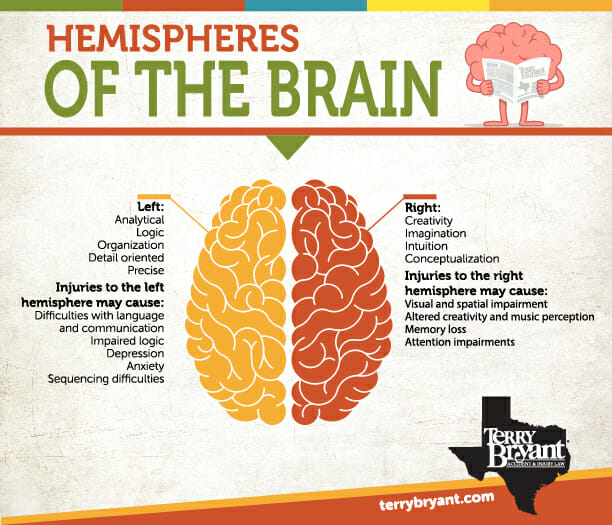 hemispheres_brain